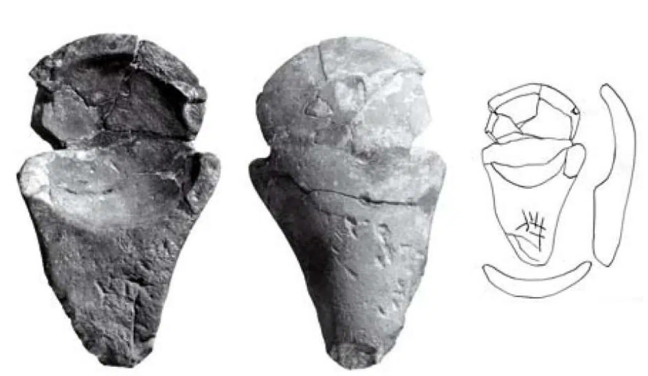 Lampadaria | Um pouco da história dos abajures 4 prehistoricas 3